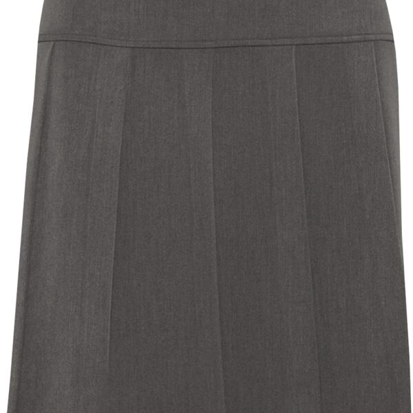 Junior Charleston Pleated Skirt Thumbnail